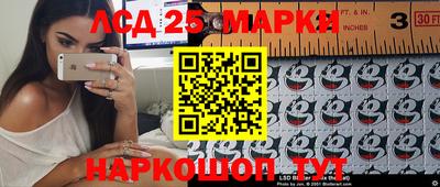 шишки Моздок