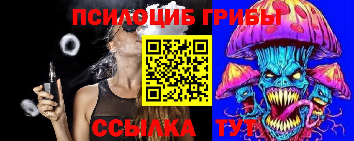 Псилоцибиновые грибы Psilocybe Углич
