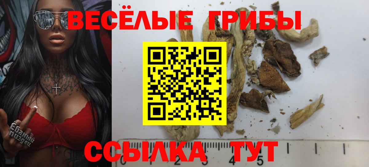 Псилоцибиновые грибы Magic Shrooms  наркотики  Вход с VPN  Углич  Псилоцибиновые грибы MAGIC MUSHROOMS 